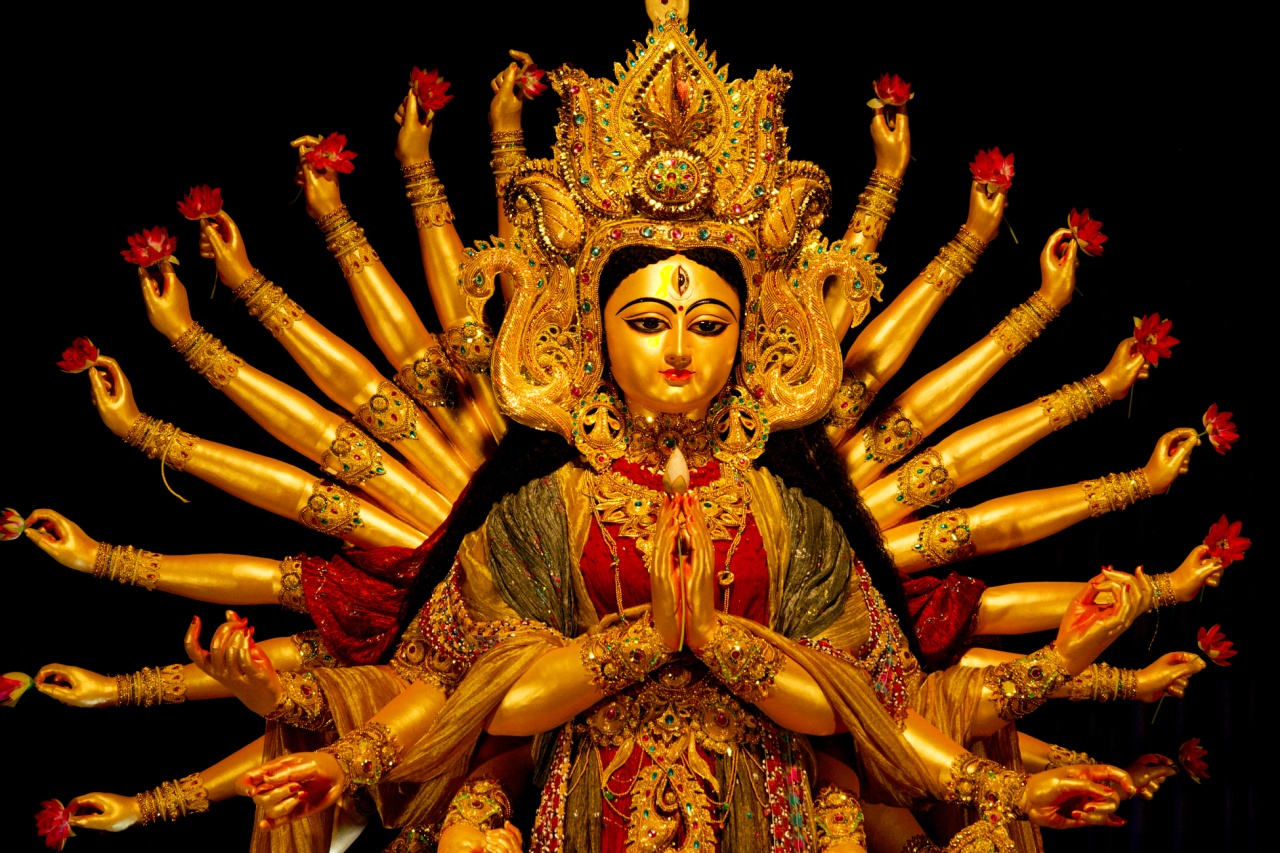MAA DURGA 2025.