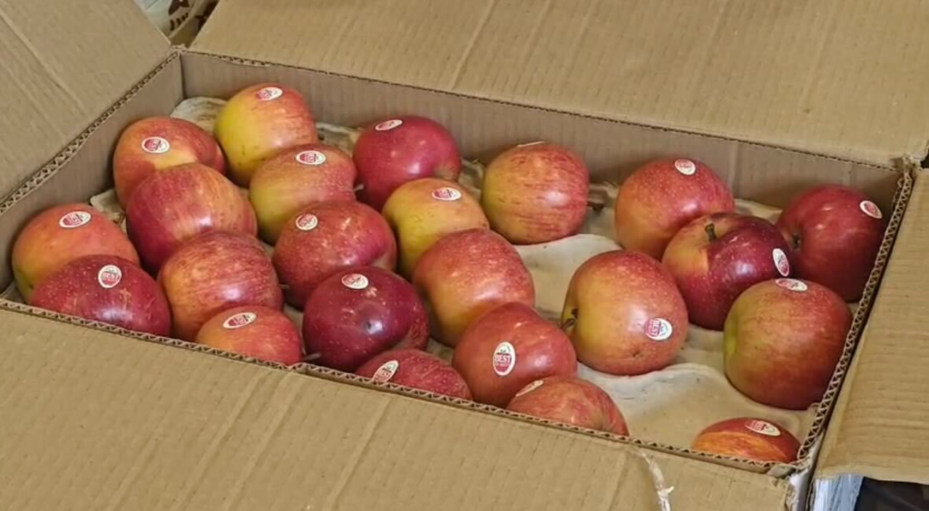 Modern Apple Farming