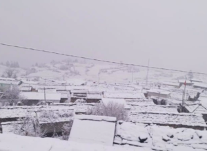 उत्तराखंड मसूरी व नैनीताल में हुई जमकर बर्फबारी, बद्रीनाथ हाईवे बंद