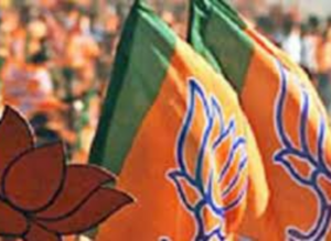 भाजपा व कांग्रेस के साथ तमाम निर्दलीयों ने भरा नामांकन पत्र