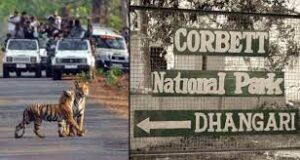 होली के दिन कॉर्बेट नेशनल पार्क रहेगा बंद
