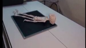 NASA के सामने मैक्सिको में पेश हुआ दुर्लभ