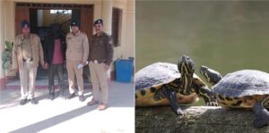 18 किलो कछुआ के मीट के साथ एक को गिरफ्तार कर पुलिस ने भेजा जेल