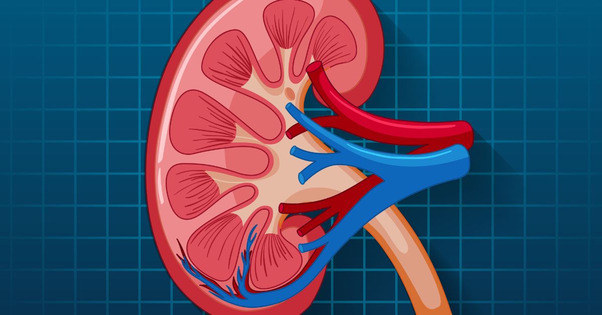 Kidney failure Early Symptoms
