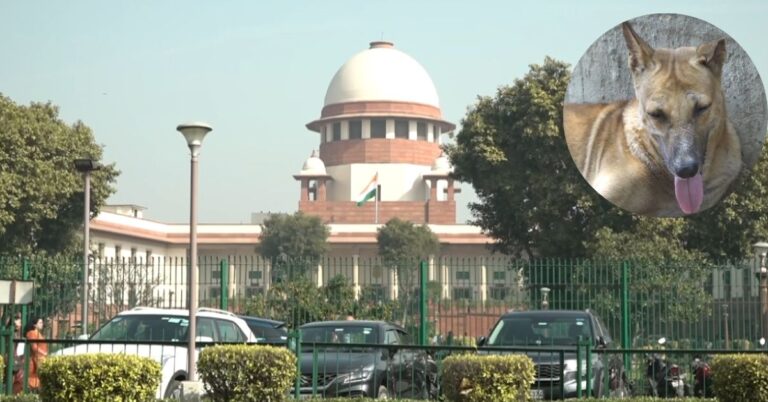 Supreme Court on Stray Dogs