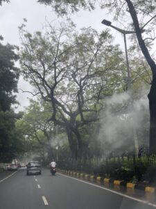 दिवाली के बाद दिल्ली-NCR की हवा बनी ज़हरीली, जानिए तुरंत बचाव के असरदार तरीके