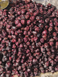 Singhara Benefits: सर्दियों में सिंघाड़ा क्यों खाना चाहिए? जानिए 5 बड़े फायदे