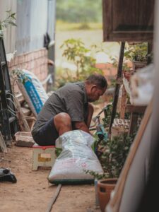 सर्दियों में रहें तंदुरुस्त रहने के लिए अपनी छत में उगाएं ये 7 हेल्दी सब्जियां