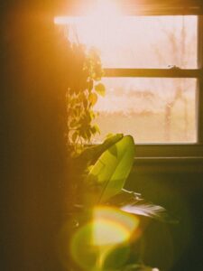 सर्दियों में धूप लेने का सही समय जानें, वरना…