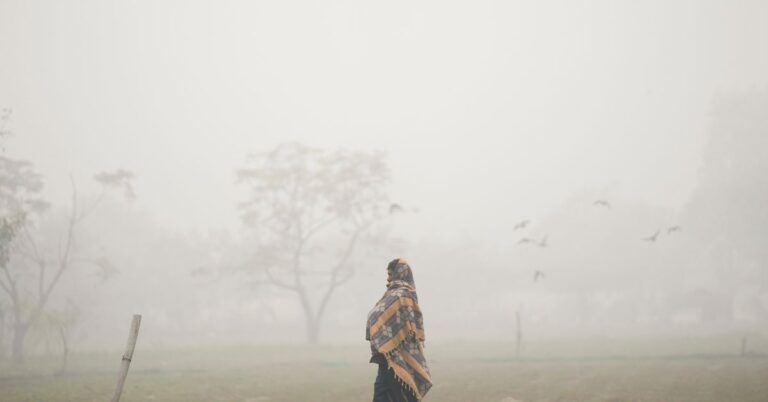 Delhi Fog-Air Pollution
