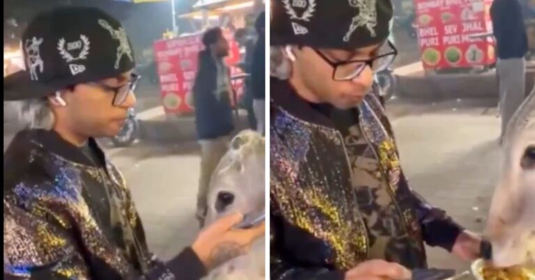 Gurugram Cow Chicken Momos: यूट्यूबर ने गाय को खिलाए चिकन मोमोज,वायरल वीडियो पर भड़के लोग