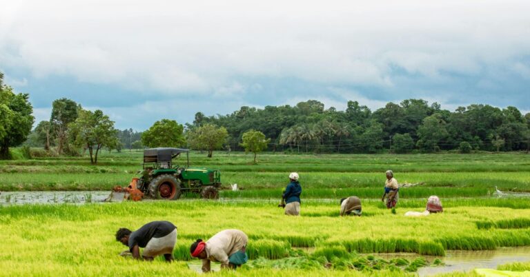 Kisan Diwas 2025