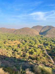 उत्तर भारत की लाइफलाइन अरावली को क्यों बचाना है जरूरी?