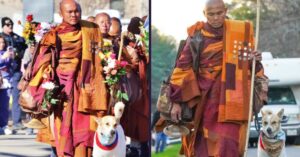 Aloka Dog Viral Video