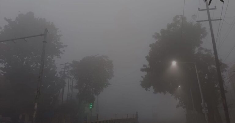 Delhi-NCR में ठंड ने तोड़ा रिकॉर्ड, शीतलहर और घने कोहरे से बेहाल लोग