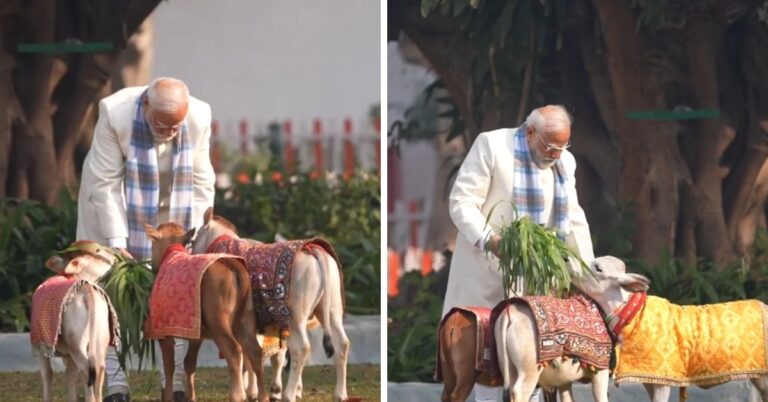Makar Sankranti पर PM मोदी ने की गौ-सेवा,वीडियो वायरल