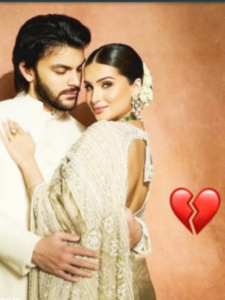 क्या एपी ढिल्लों की वजह से अलग हुए तारा-वीर?