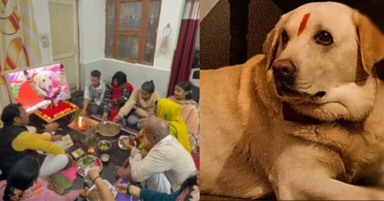 Agra News: आगरा में पालतू कुत्ते टाइगर को बेटे की तरह दी गई अंतिम विदाई