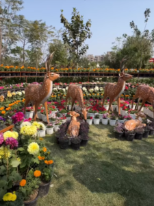 नोएडा फ्लावर फेस्टिवल की 19 फरवरी से होगी शुरुआत