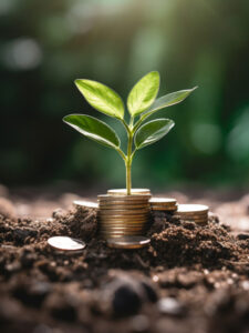 सिक्के नहीं उगते, फिर भी क्यों कहलाता है ‘मनी प्लांट’?