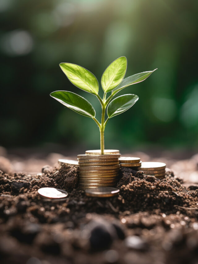 सिक्के नहीं उगते, फिर भी क्यों कहलाता है ‘मनी प्लांट’?