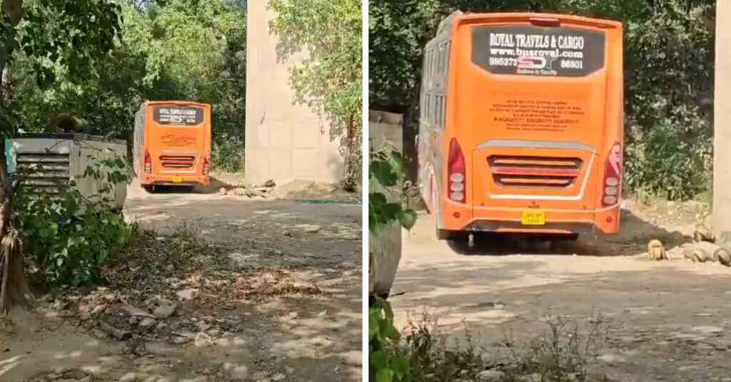 Delhi Gangrape Case: चलती प्राइवेट बस में महिला से गैंगरेप, ड्राइवर और कंडक्टर गिरफ्तार