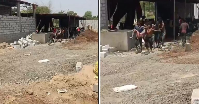 Dewas Blast: पटाखा फैक्टरी में भीषण विस्फोट,2 की मौत, 15 घायल