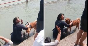 Haridwar News: हरिद्वार में गंगा में कुत्ते को नहलाने पर हंगामा, महिला की हरकत से भड़के लोग