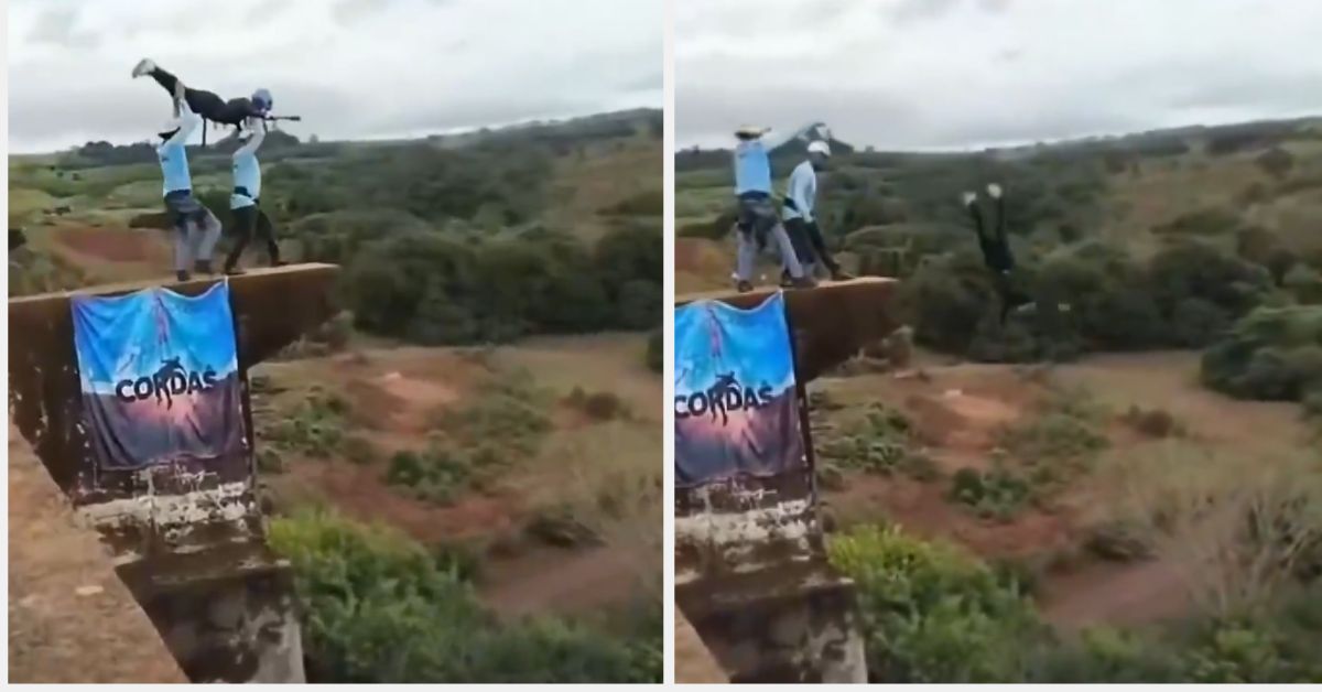 Bungee jumping