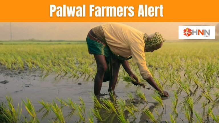 Palwal Farmers Alert: 31 जुलाई तक कराएं खरीफ फसल का Registration, तभी मिलेगा सरकारी योजनाओं का लाभ