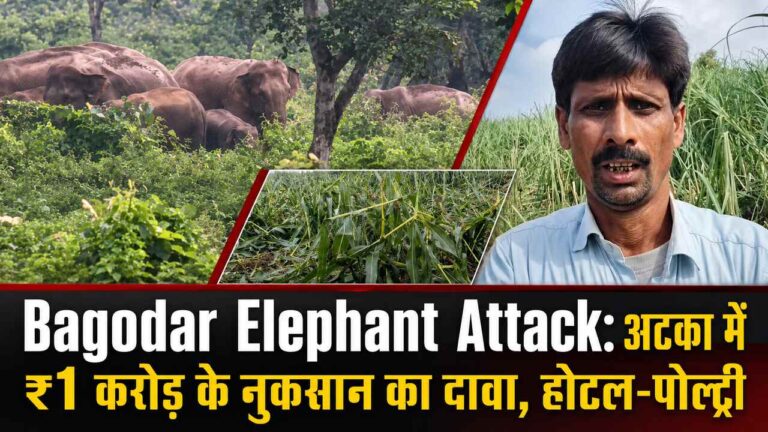 Bagodar Elephant Attack: अटका में ₹1 करोड़ के नुकसान का दावा, होटल-पोल्ट्री