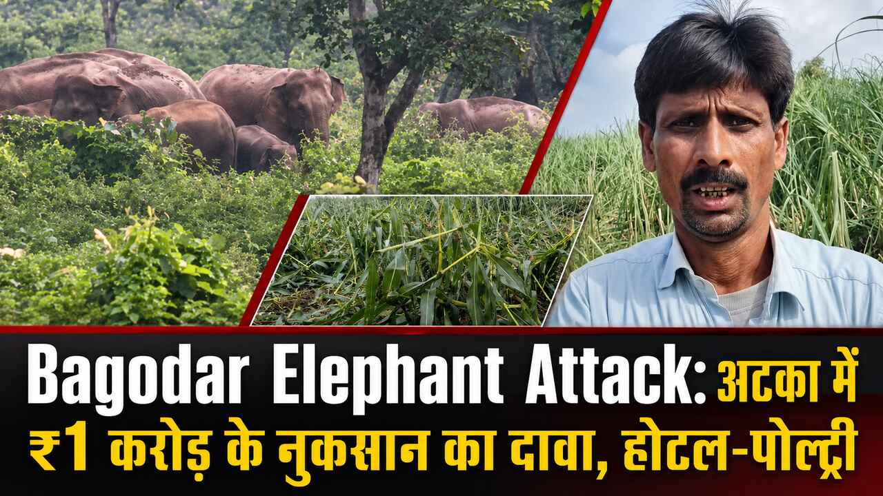 Bagodar Elephant Attack: अटका में ₹1 करोड़ के नुकसान का दावा, होटल-पोल्ट्री