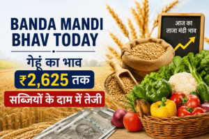 Banda Mandi Bhav Today: गेहूं का भाव ₹2,625 तक, सब्जियों के दाम में तेजी