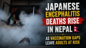 Japanese Encephalitis Deaths Rise in Nepal as Vaccination Gaps Leave Adults at Risk