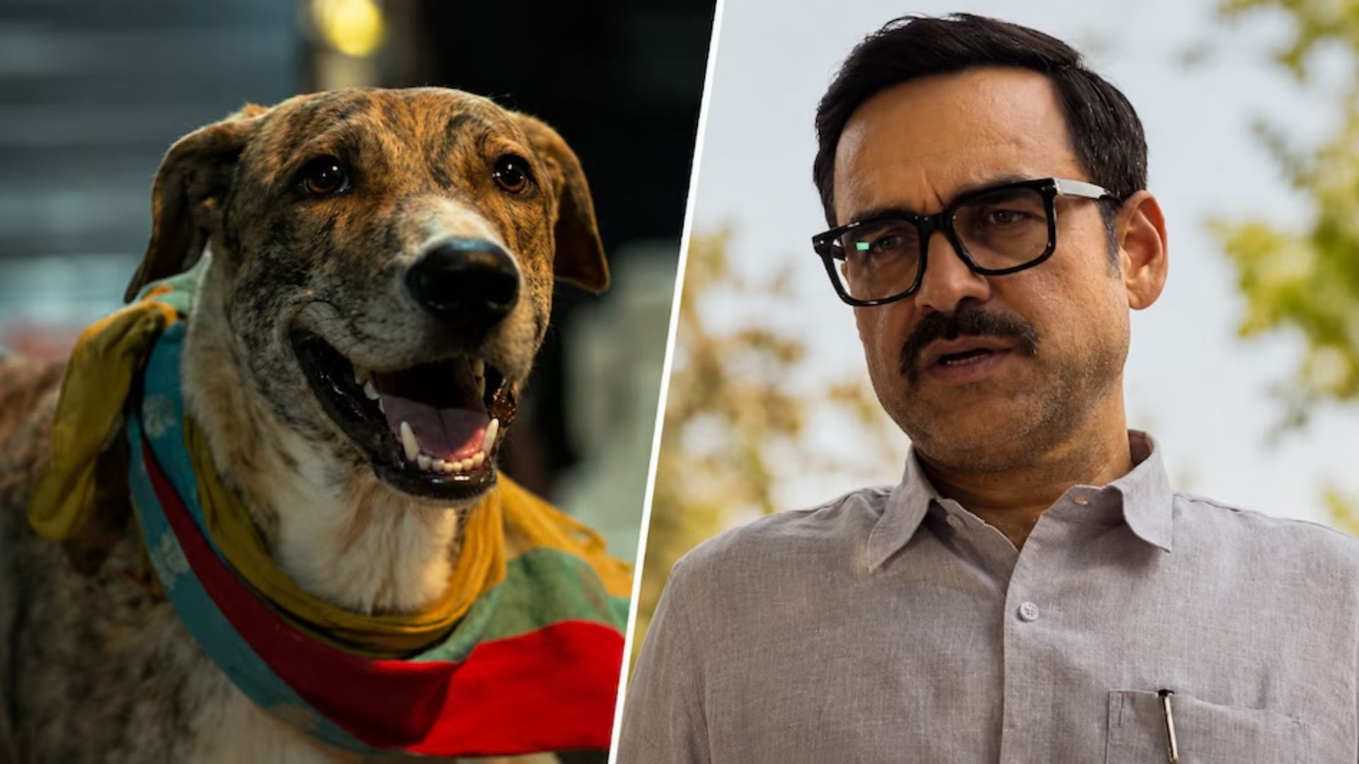 Oh My Dog Review: ऑस्कर की वफादारी और इंसानियत की भावुक कहानी