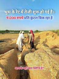 बांदा गेहूं के भाव में आगे क्या हो सकता है?