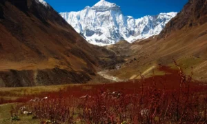 आदि कैलाश यात्रा पर फिर मौसम की मार!550 से ज्यादा यात्री फंसे; परमिट जारी करने पर रोक