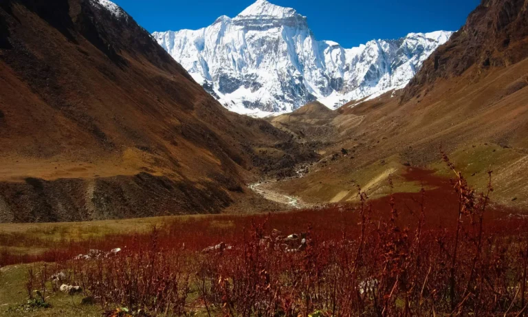 आदि कैलाश यात्रा पर फिर मौसम की मार!550 से ज्यादा यात्री फंसे; परमिट जारी करने पर रोक