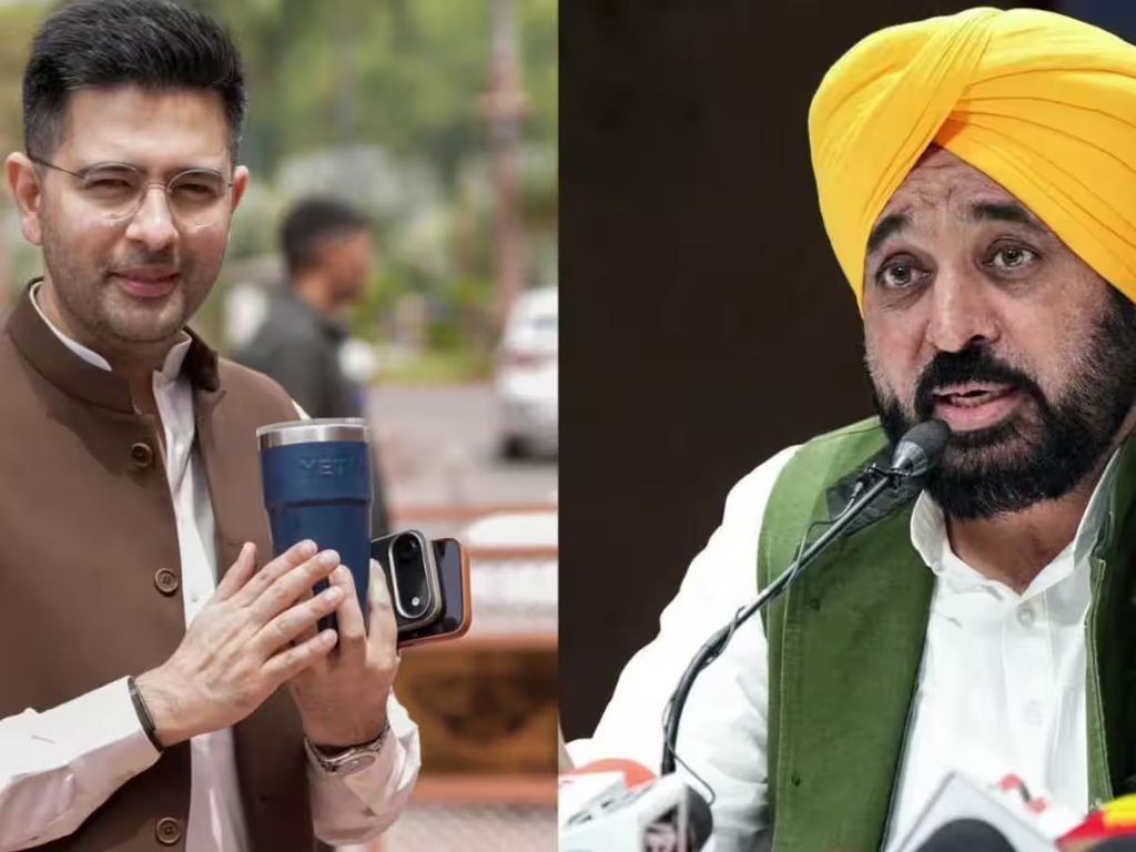 Why is the Raghav Chadha voter row politically significant?