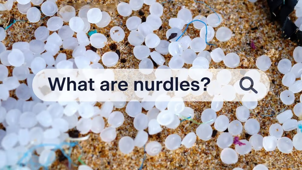 What Are Nurdles?