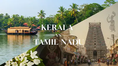 Why Are Kerala and Tamil Nadu Particularly Important in This Story?