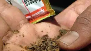 Uttarakhand has banned gutkha, pan masala, and tobacco-containing food products for one year.